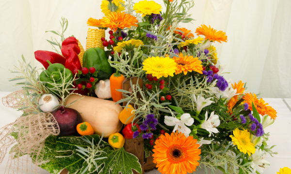 Flowers & Vegetables Rules & Regulations