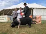 supreme-pig-champion-2022