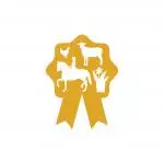 competitions-section-1 image