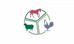 classes-1 image
