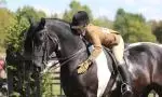 Coloured Ridden Native competitor patting her horse at the Edenbridge & Oxted Show image