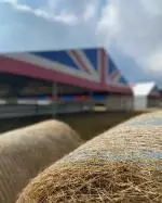 c70e8352-1319-407d-b507-e370e54b0738-1-