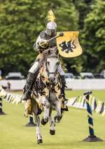 Knights of Middle England  (6).JPG