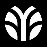 F&F Disc logo