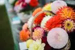 shona-g-flowers-veg-10-