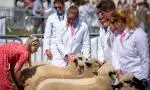 Agri Marketing UK - Edenbridge 2025-127 cropped 5/3 image