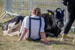 Dairy taking a break image